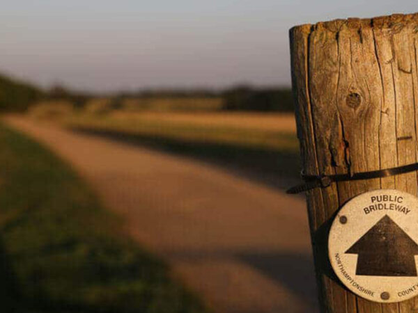 Le Link Finder dans le Control Desk est représenté par un panneau indicateur dans la nature.
