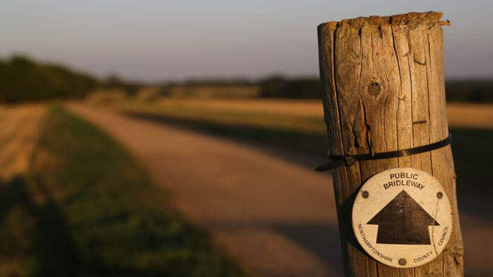 Der Link Finder im Control Desk wird visualisiert durch ein Wegweiserschild in der Natur.