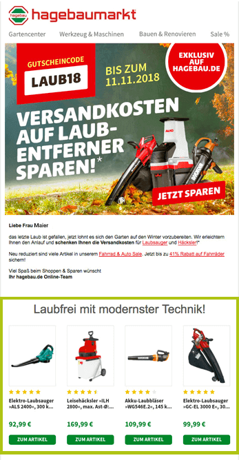 Der Screenshot zeigt ein Beispiel für Newsletter-Tipps. Dargestellt wird ein Newsletter von hagebaumarkt, der personalisierte Empfehlungen passend zum Newsletter-Thema enthält.