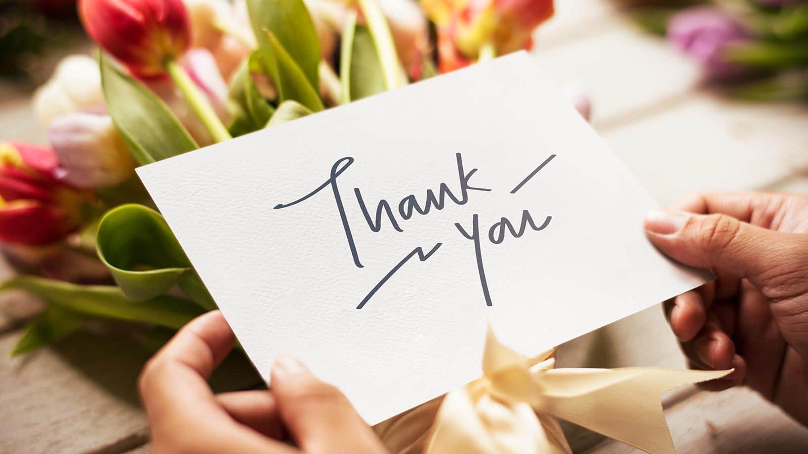 Das Bild zeigt Blumen und eine 